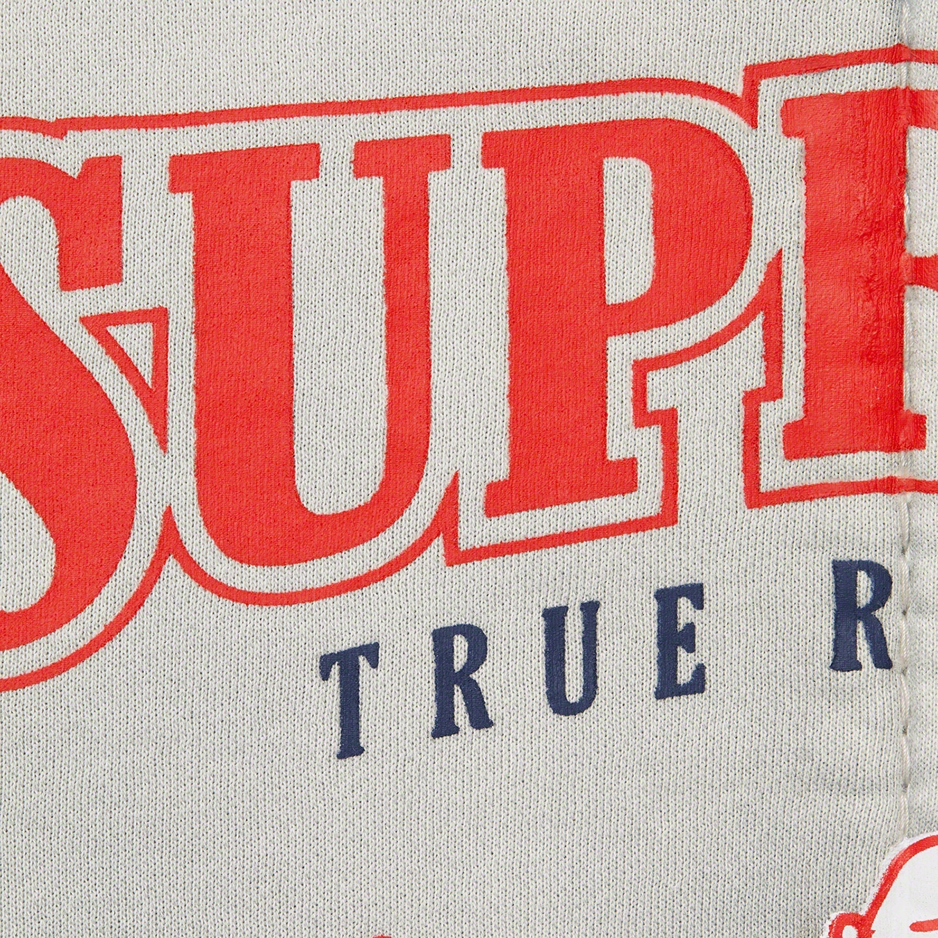 Supreme®/True Religion® Zip Up Hooded Sweatshirt view 9